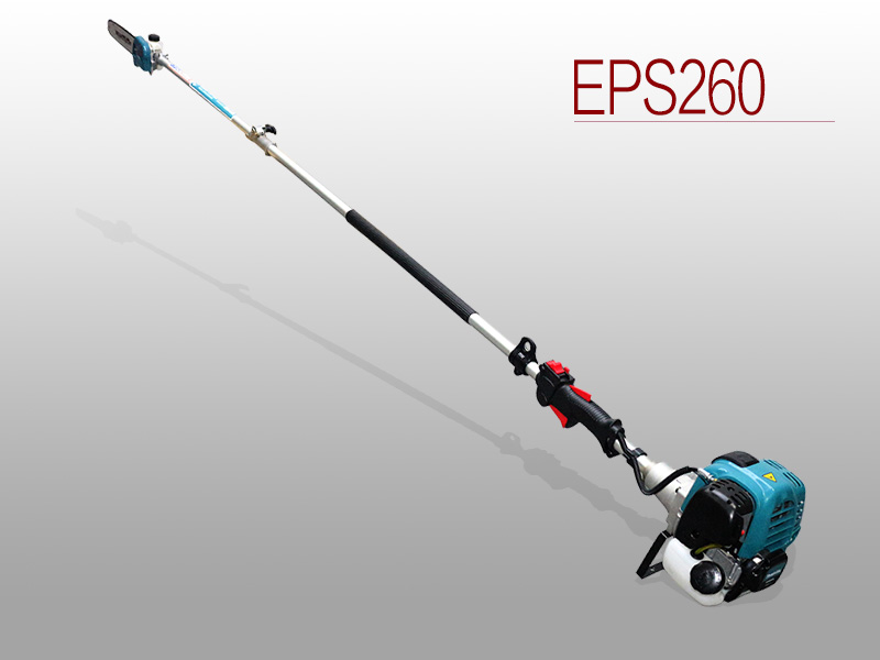 EH025AA Pole Chain Saw
